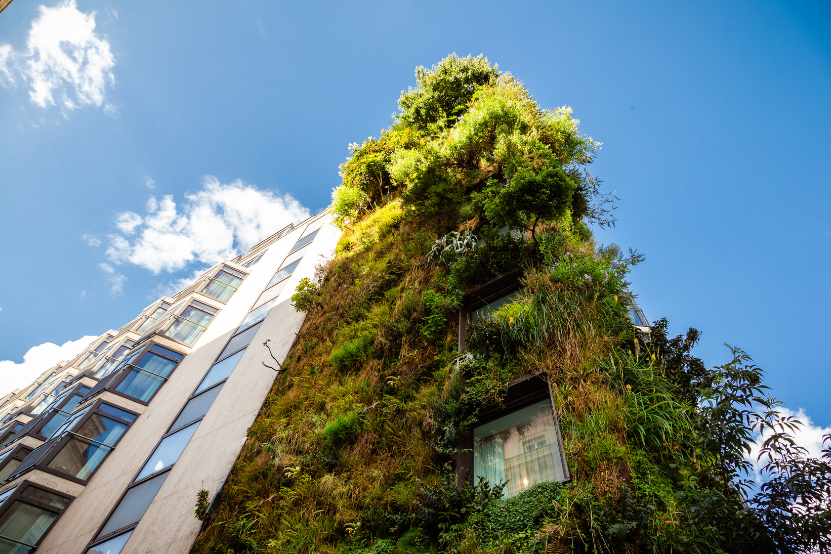 Sustainable green buildings in the city